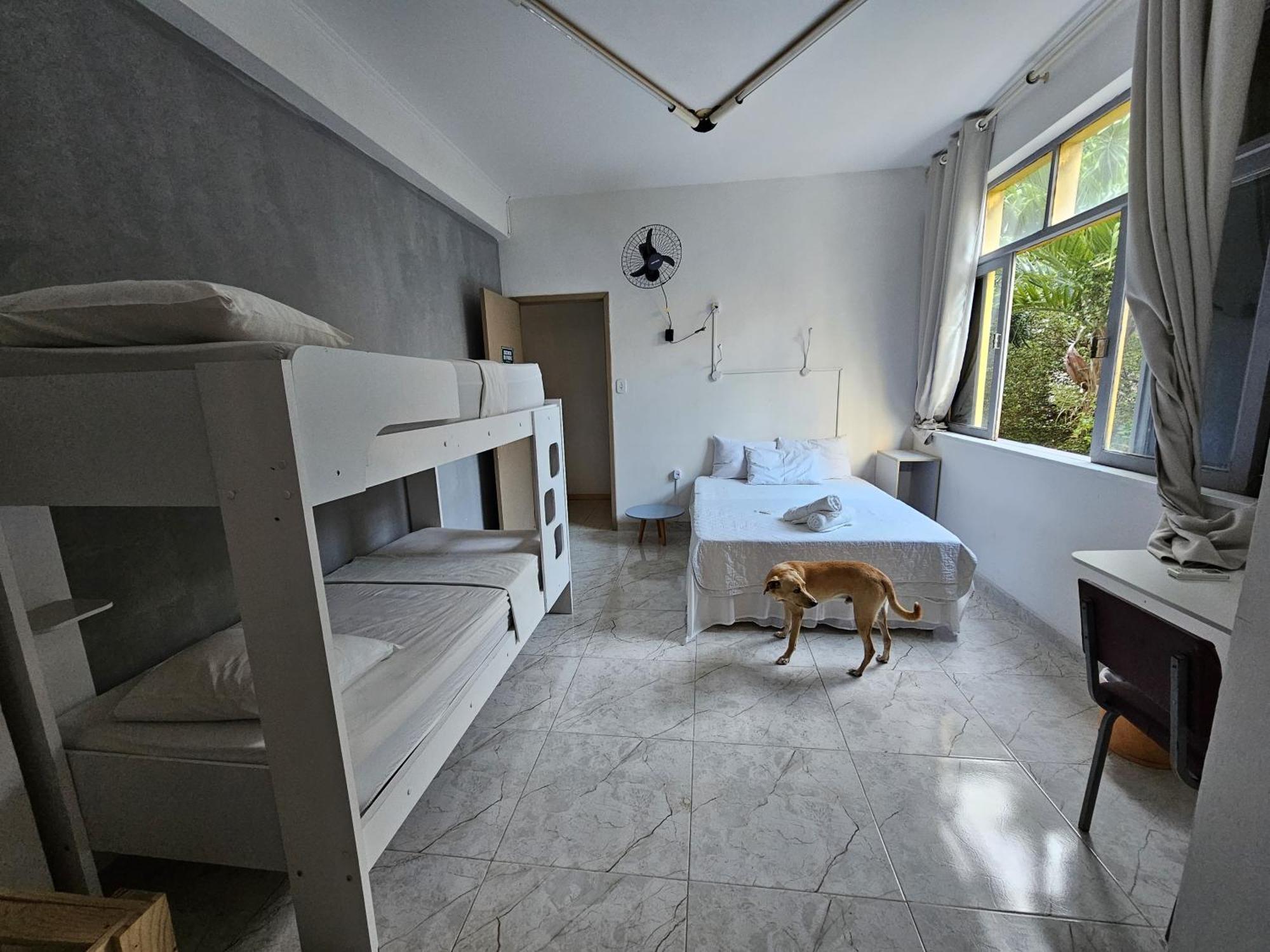 Nomads Hostel Multicultural & Coworking Salvador Eksteriør bilde